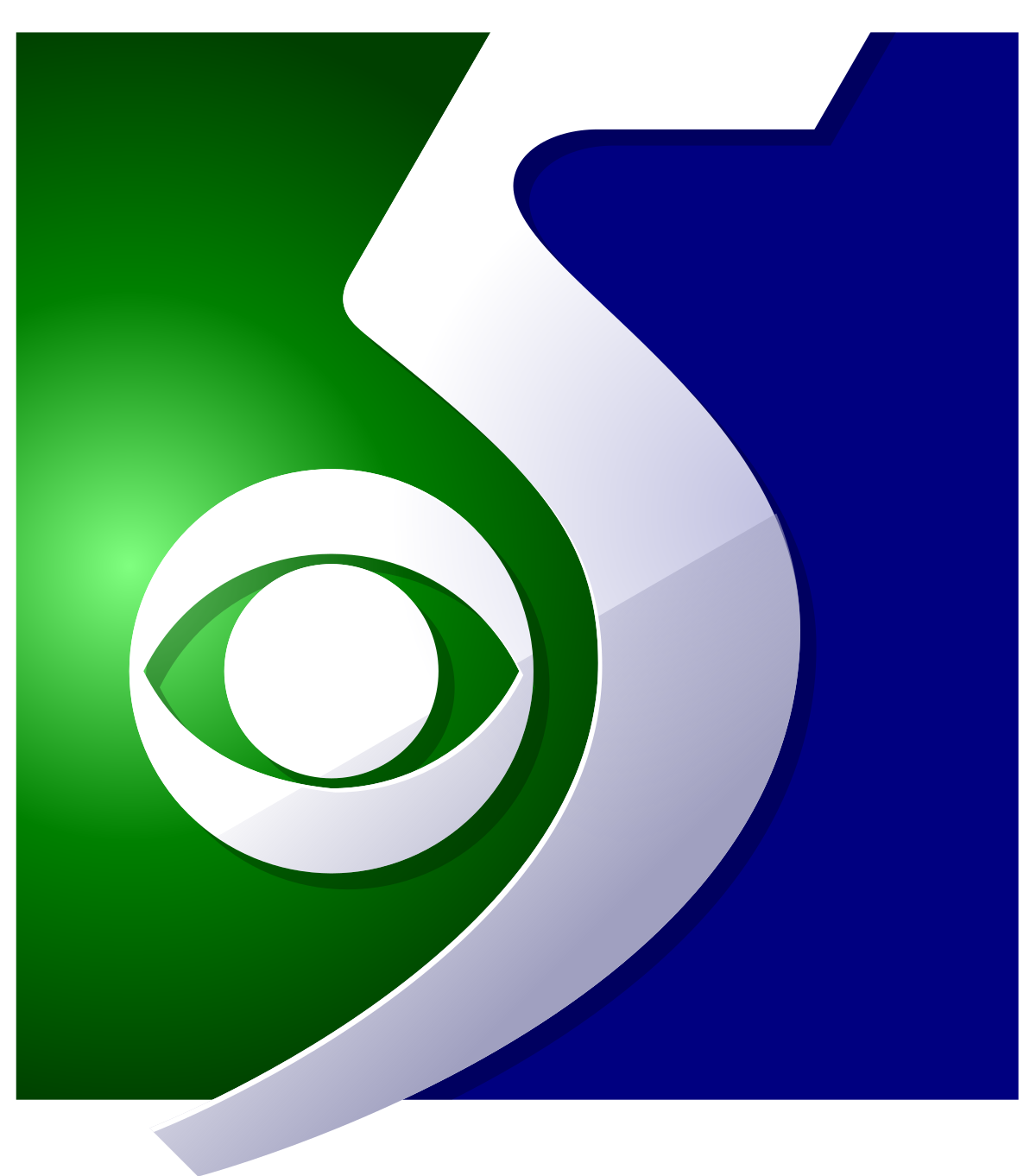 news WNEM-TV_logo.png